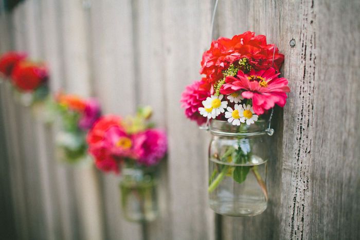 Des petits bocaux en verre fixés au mur qui servent de pots de fleurs | So Busy Girls