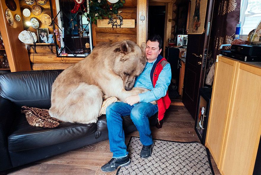 Un couple russe a adopté un ours orphelin il y a 23 ans, et ils vivent toujours tous ensemble ! | So Busy Girls