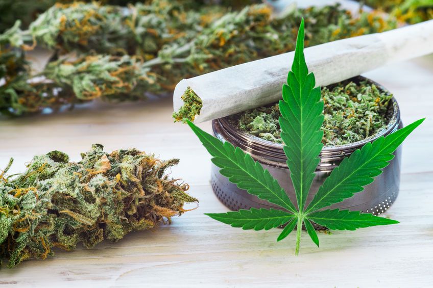 3 astuces pour acheter les meilleures fleurs de CBD | So Busy Girls