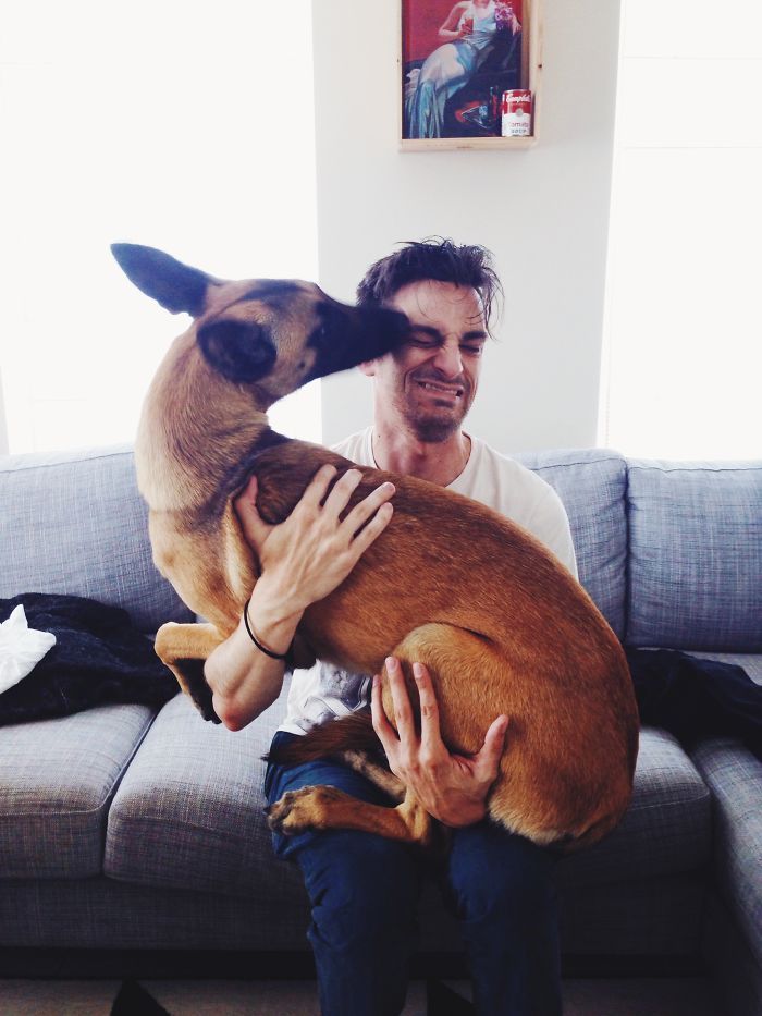 Ces 16 photos de chiens qui viennent de se faire adopter vont vous donner envie d'en recueillir un vous aussi ! | So Busy Girls