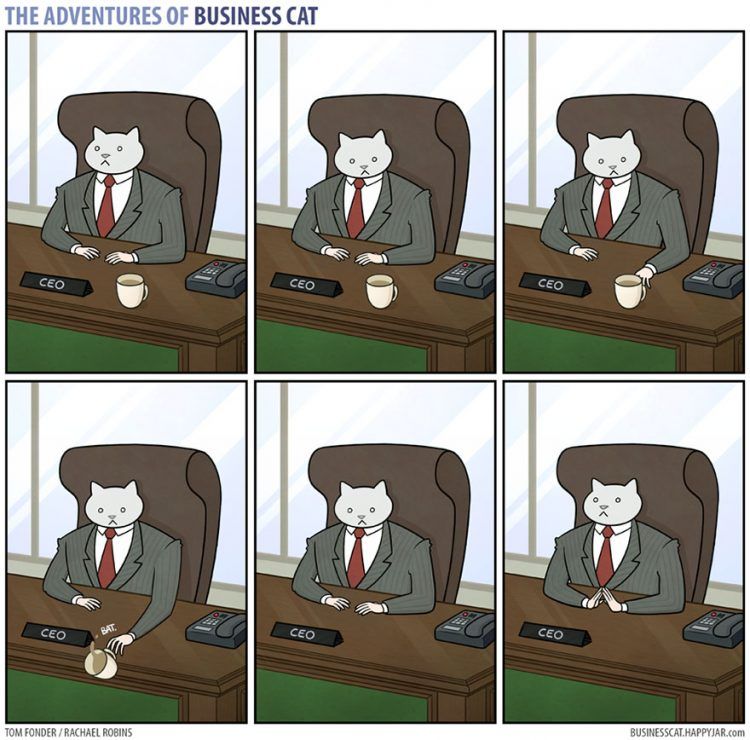 Voilà à quoi ressemblerait votre patron s’il était un chat (petit indice : c'est très drôle !) | So Busy Girls