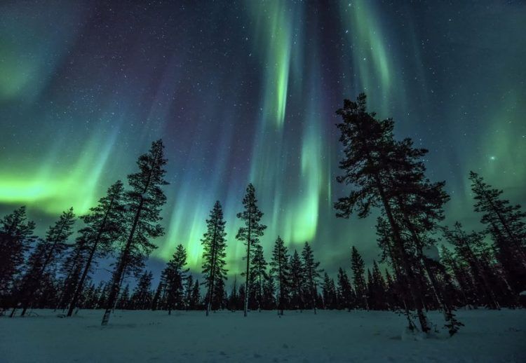 15 photos qui montrent que la Laponie est l’endroit le plus magique pour fêter Noël | So Busy Girls