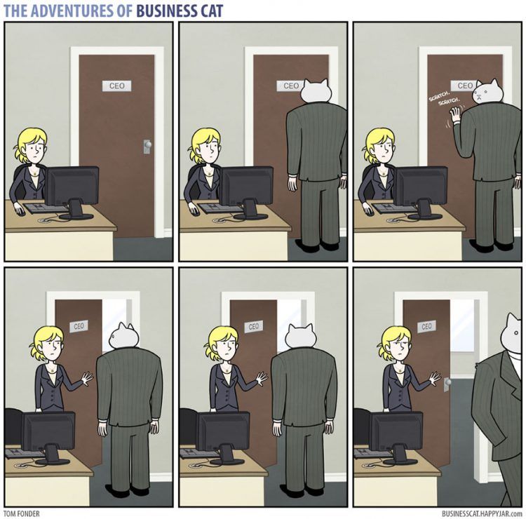 Voilà à quoi ressemblerait votre patron s’il était un chat (petit indice : c'est très drôle !) | So Busy Girls