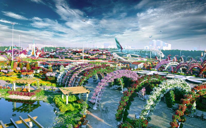 Découvrez le Dubaï Miracle Garden, le plus grand jardin de fleurs du monde ! | So Busy Girls