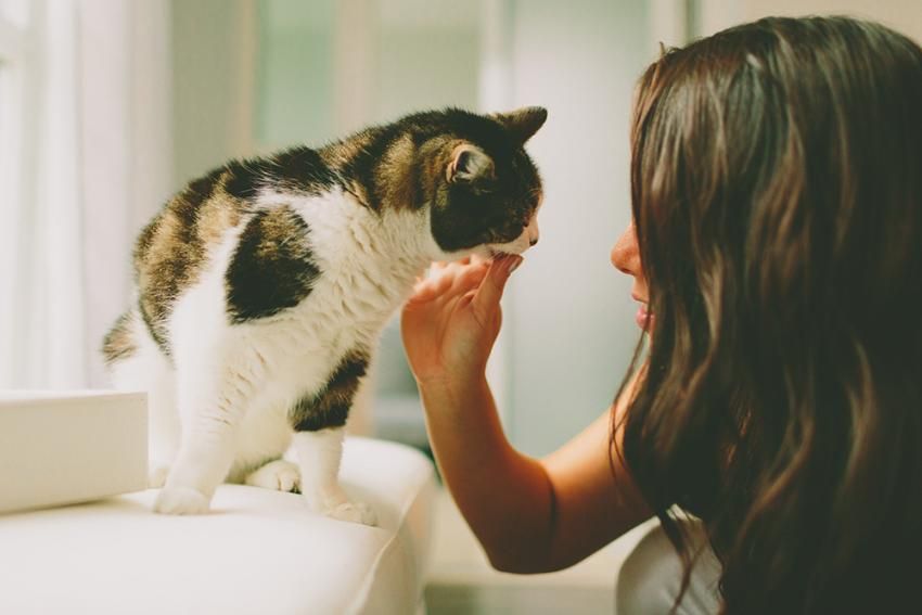 C'est prouvé ! Avoir un animal de compagnie procure un profond sentiment de bien-être et permet de lutter contre la dépression | So Busy Girls