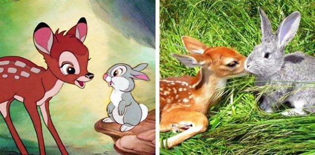 Bambi | So Busy Girls