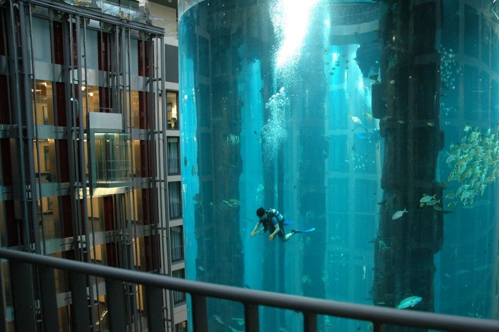Cet énorme aquarium fait partie d’une cage d’ascenseur qui héberge plus de 1 500 poissons ! | So Busy Girls