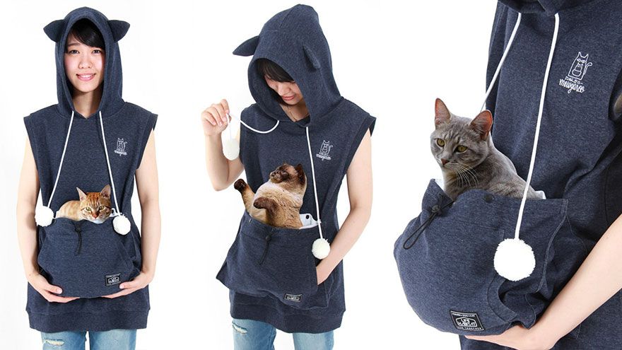 Des sweats poche kangourou qui vous permettent d'emmener votre chat partout avec vous | So Busy Girls
