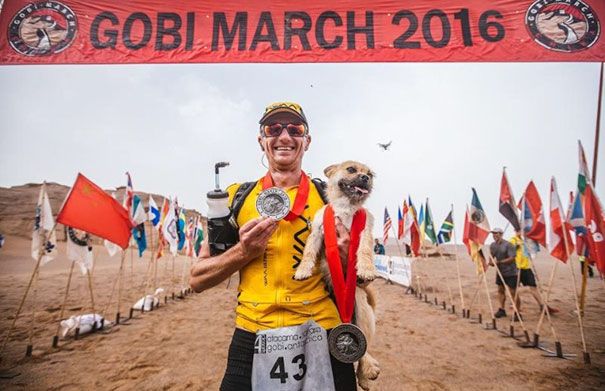 Un petit chien errant rejoint ce marathonien, court 100km avec lui et finit la course avec son nouveau maître ! | So Busy Girls