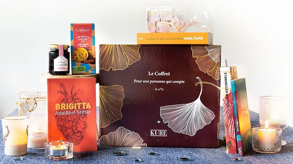 Kube, la seule box de lecture personnalisée contenant un livre choisi sur-mesure et des surprises | So Busy Girls