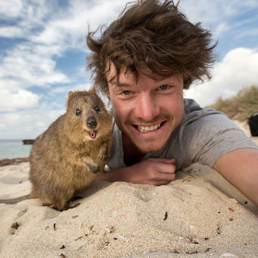 L'homme qui prenait des selfies géniaux avec des animaux | So Busy Girls