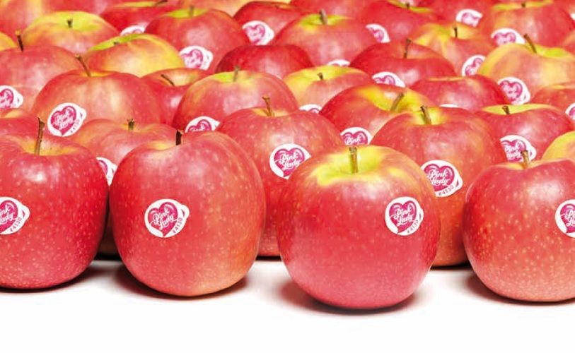 Savez-vous ce que vous mangez quand vous croquez dans une pomme ? | So Busy Girls