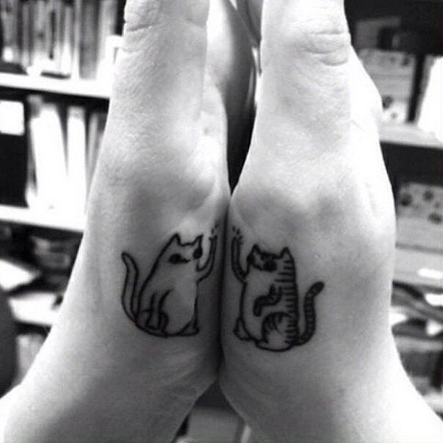 Des chats rigolos qui se font un high five | So Busy Girls