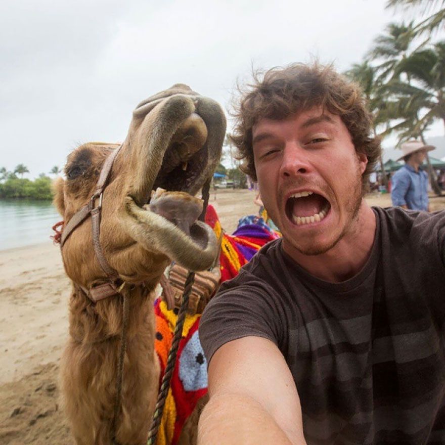 L'homme qui prenait des selfies géniaux avec des animaux | So Busy Girls