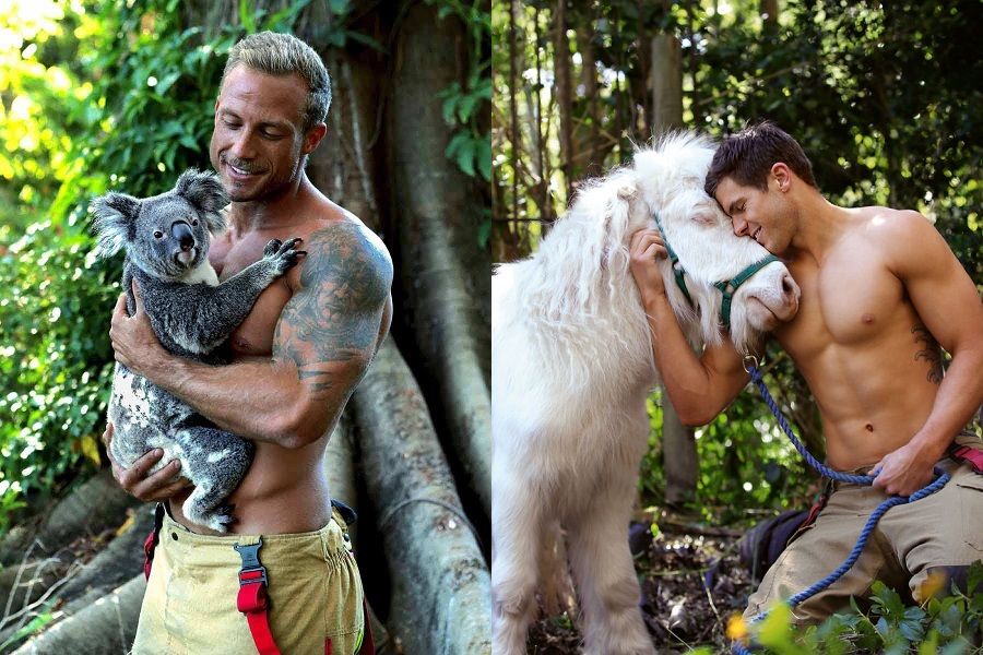 Des pompiers sexy posent avec des animaux pour un calendrier caritatif et vraiment hot | So Busy Girls