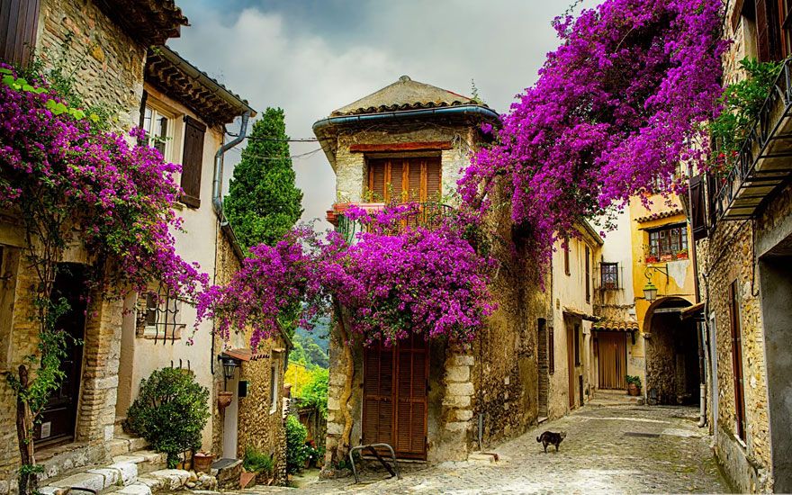 Hauts de Cagnes en Provence, France | So Busy Girls