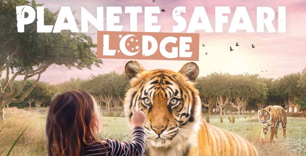 Concours : 1 séjour de rêve pour observer les guépards au parc zoologique Planète Sauvage à gagner ! | So Busy Girls