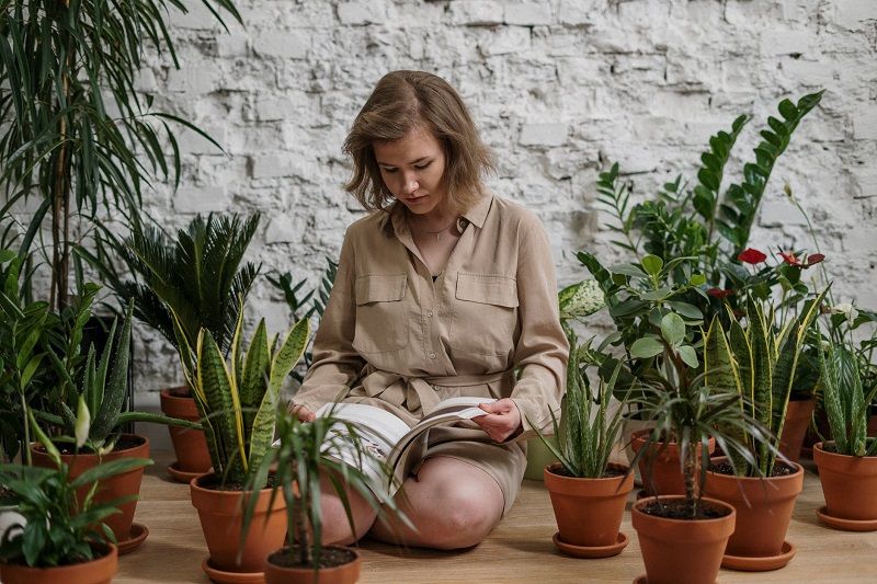Ces playlists dédiées aux plantes améliorent leur bien-être et leur croissance | So Busy Girls