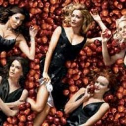 Le Cas Stelda | Auteur(e) So Busy Girls