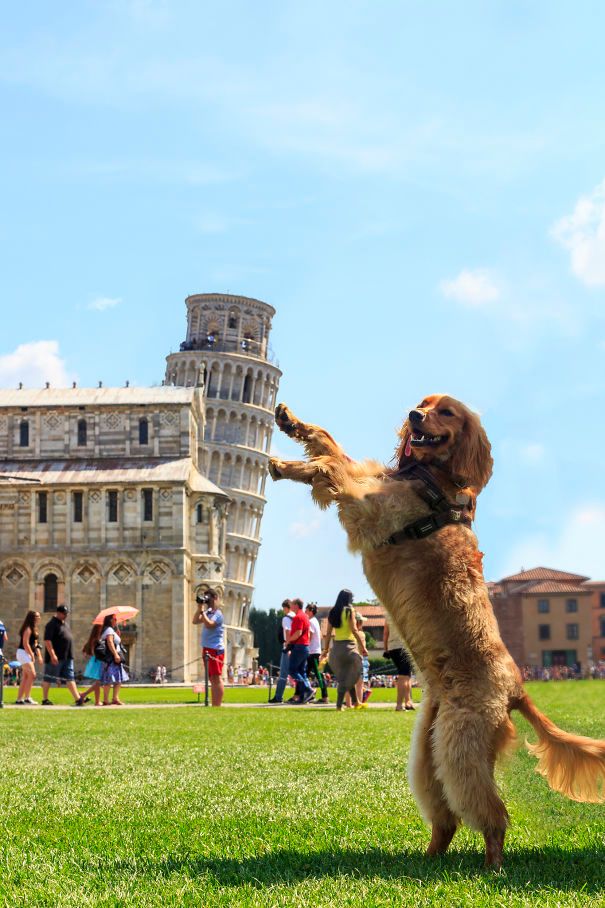 Les 13 meilleures photos de touristes qui posent devant la Tour de Pise | So Busy Girls