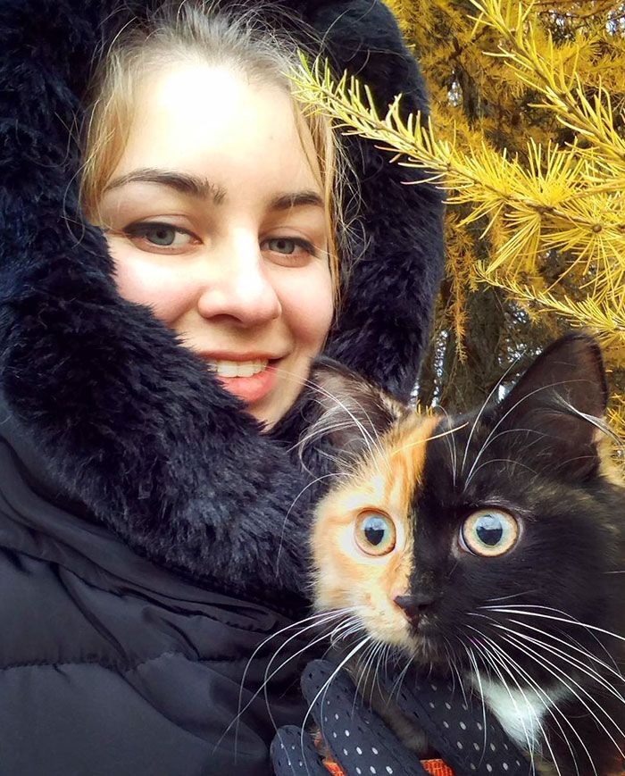 Voici Yana, l'adorable chatte aux deux visages qui va vous faire craquer ! | So Busy Girls