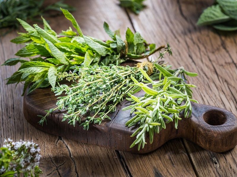 Les 2 astuces à connaître pour conserver des herbes aromatiques plus longtemps | So Busy Girls