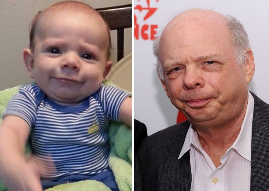 Wallace Shawn | So Busy Girls