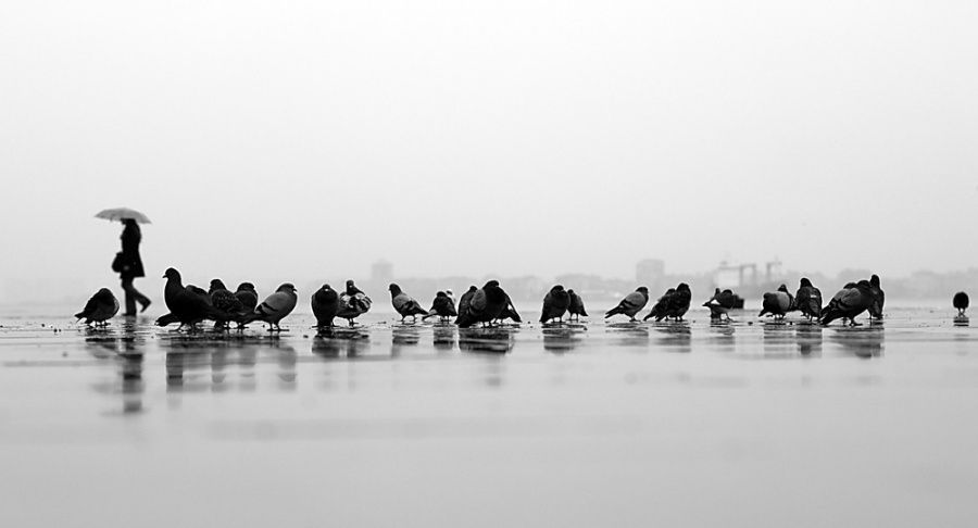 20 photos parfaites qui plairont à tous les minimalistes | So Busy Girls
