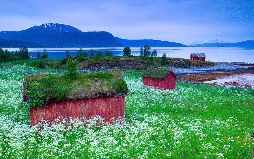 15 maisons scandinaves avec un toit végétal qui semblent tout droit sorties d'un conte de fées | So Busy Girls