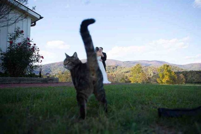 Quelle superbe vue... | So Busy Girls