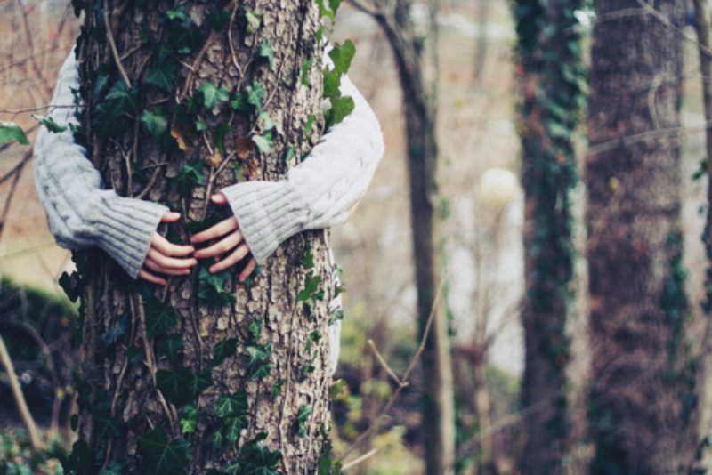 5 raisons pour lesquelles faire un câlin à un arbre est bon pour la santé | So Busy Girls