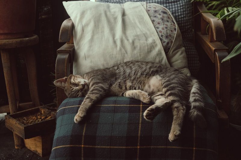 6 conseils pour profiter pleinement de tous les bienfaits de la synchronisation du sommeil | So Busy Girls