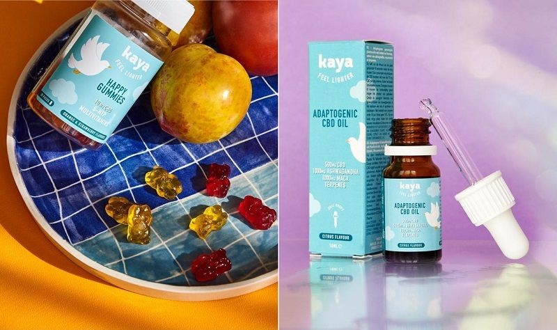 Kaya, les plantes adaptogènes pour lutter contre le stress et se détendre facilement | So Busy Girls