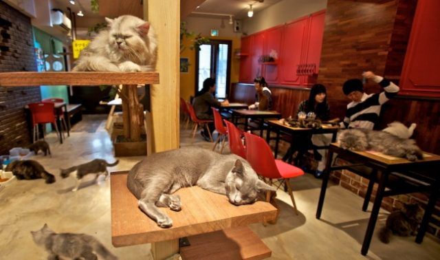 15 inventions japonaises géniales qu'on devrait avoir partout dans le monde | So Busy Girls