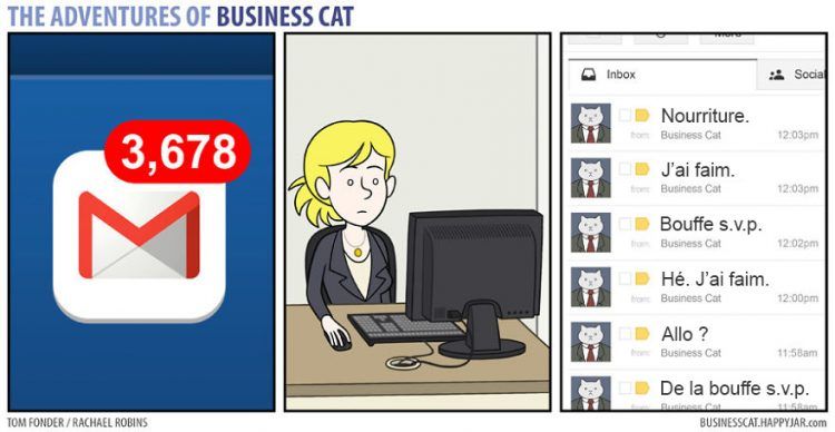 Voilà à quoi ressemblerait votre patron s’il était un chat (petit indice : c'est très drôle !) | So Busy Girls