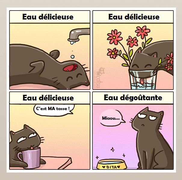 14 illustrations rigolotes qui résument parfaitement la vie avec un chat | So Busy Girls