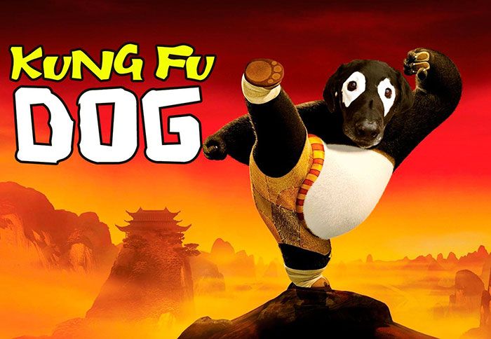 Kung Fu Dog ! | So Busy Girls