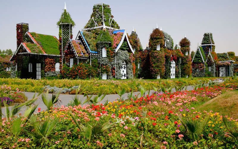 Découvrez le Dubaï Miracle Garden, le plus grand jardin de fleurs du monde ! | So Busy Girls