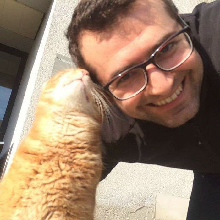 Ce chat vient tous les jours à l'Université pour encourager les étudiants en leur faisant des câlins | So Busy Girls