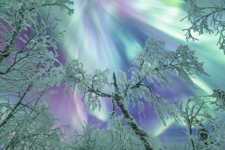 15 photos qui montrent que la Laponie est l’endroit le plus magique pour fêter Noël | So Busy Girls