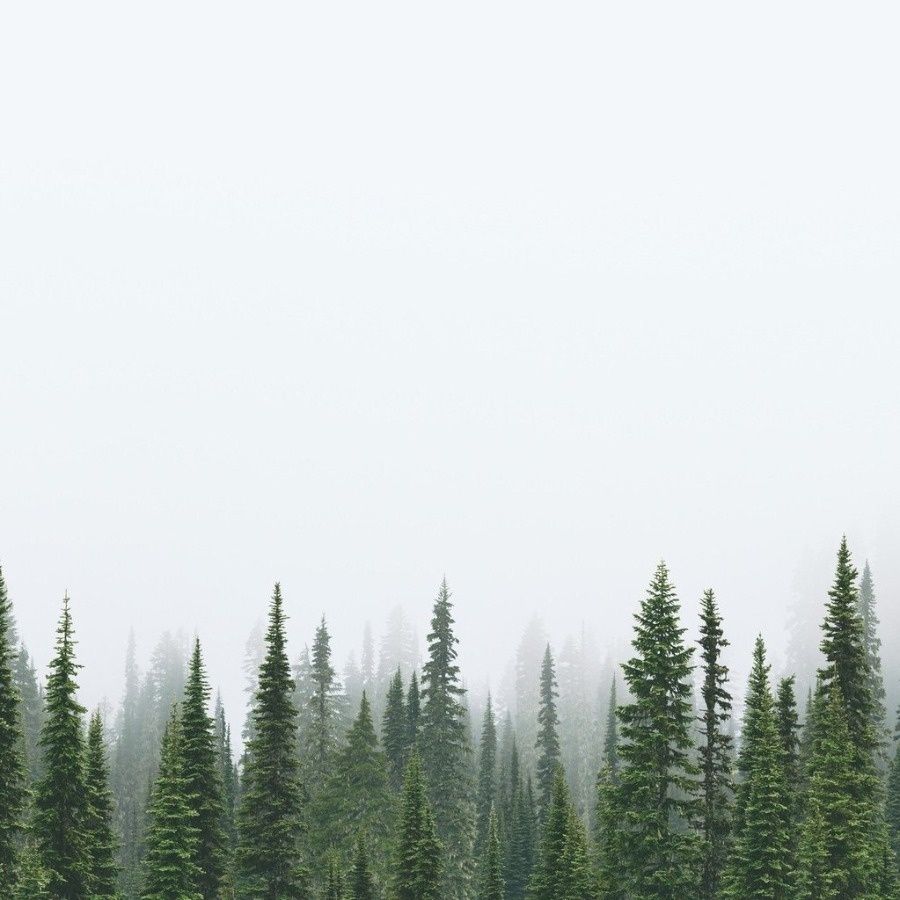 20 photos parfaites qui plairont à tous les minimalistes | So Busy Girls