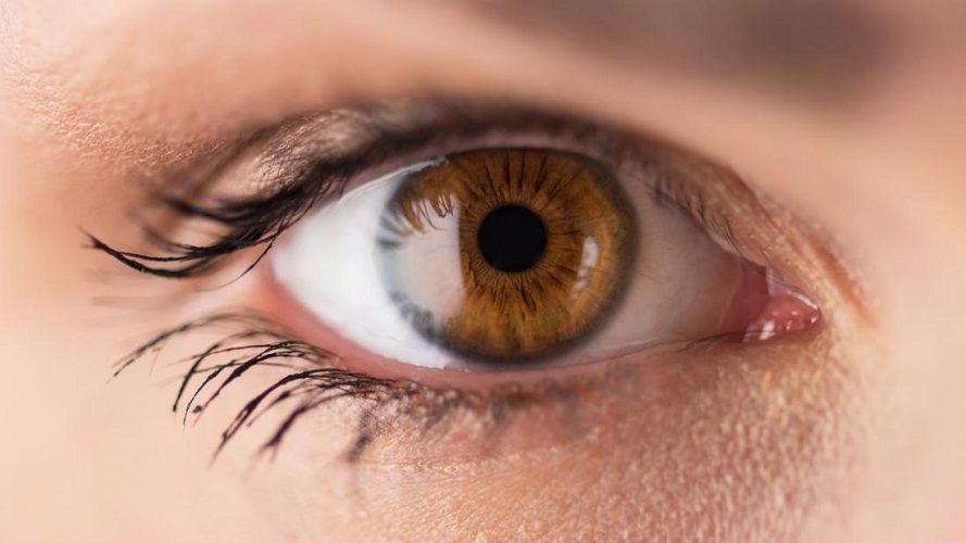 Les personnes qui ont les yeux marrons inspirent plus confiance que les autres | So Busy Girls