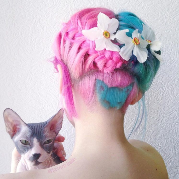 Les amoureuses des chats et des cheveux arc-en-ciel vont adorer cette nouvelle coiffure | So Busy Girls