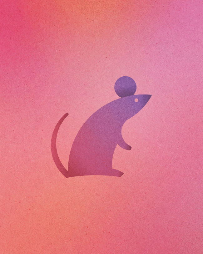 Souris | So Busy Girls