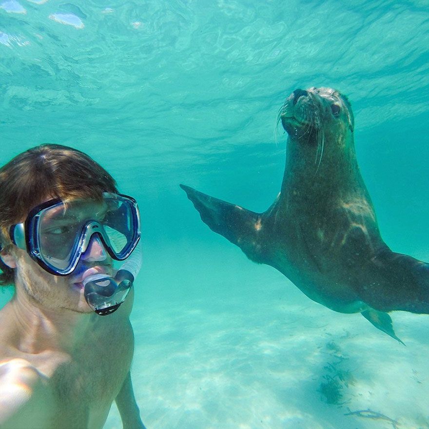 L'homme qui prenait des selfies géniaux avec des animaux | So Busy Girls