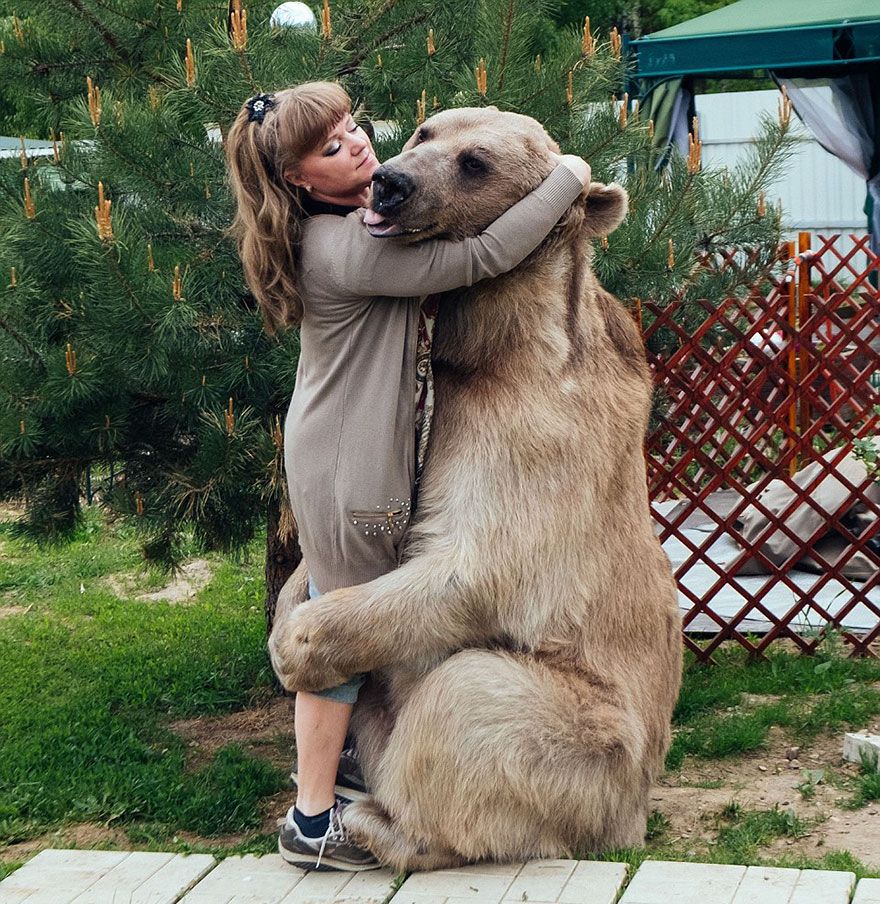 Un couple russe a adopté un ours orphelin il y a 23 ans, et ils vivent toujours tous ensemble ! | So Busy Girls