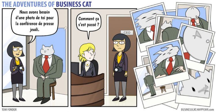 Voilà à quoi ressemblerait votre patron s’il était un chat (petit indice : c'est très drôle !) | So Busy Girls