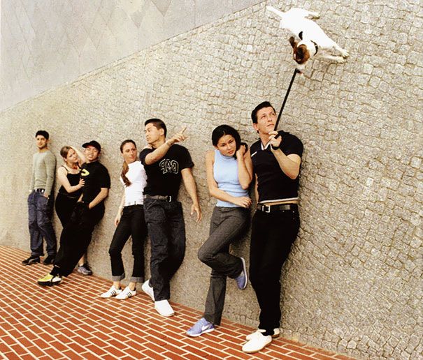 33 photos incroyables qui montrent que l'angle de vue fait tout ! | So Busy Girls