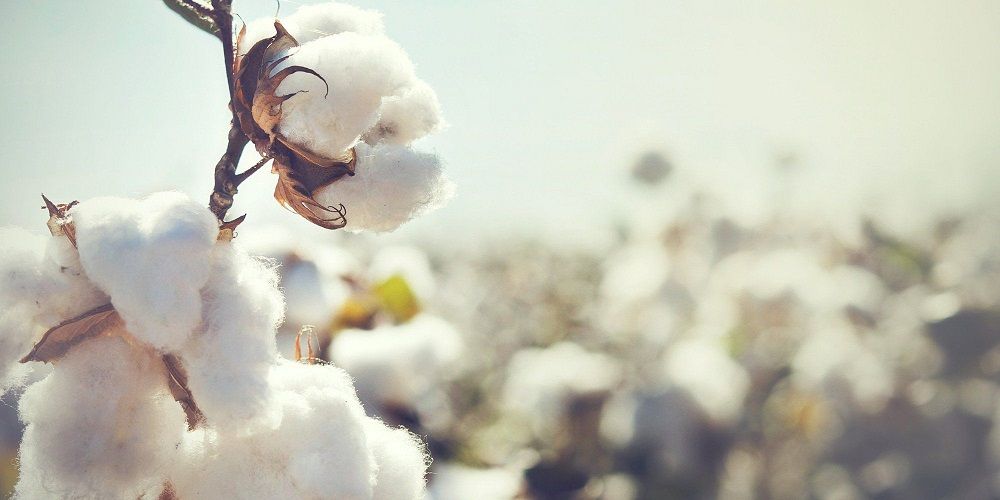 1 an de mariage : 8 idées géniales pour fêter ses noces de coton | So Busy Girls