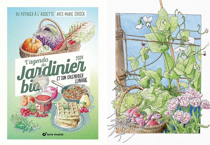 L'agenda du jardinier bio 2024 : une invitation poétique et savoureuse du potager à l'assiette | So Busy Girls